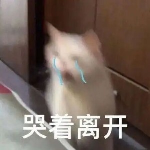 DM_20260806153143_004.jpg