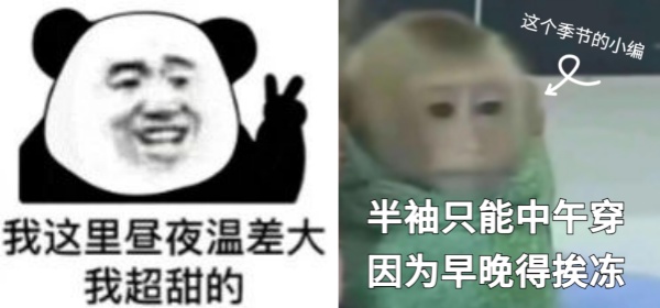 1.jpg 1.jpg