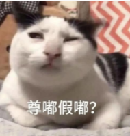 DM_20261028155159_003.png DM_20261028155159_003.png