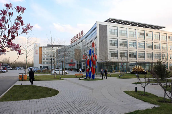 寻迹光阴里的地坛记忆 共绘八十载生命长卷