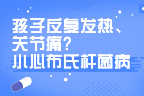 孩子反复发热、关节痛？小心布氏杆菌病