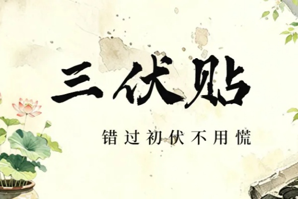 三伏贴错过初伏不用慌，整个伏期贴敷都有效！